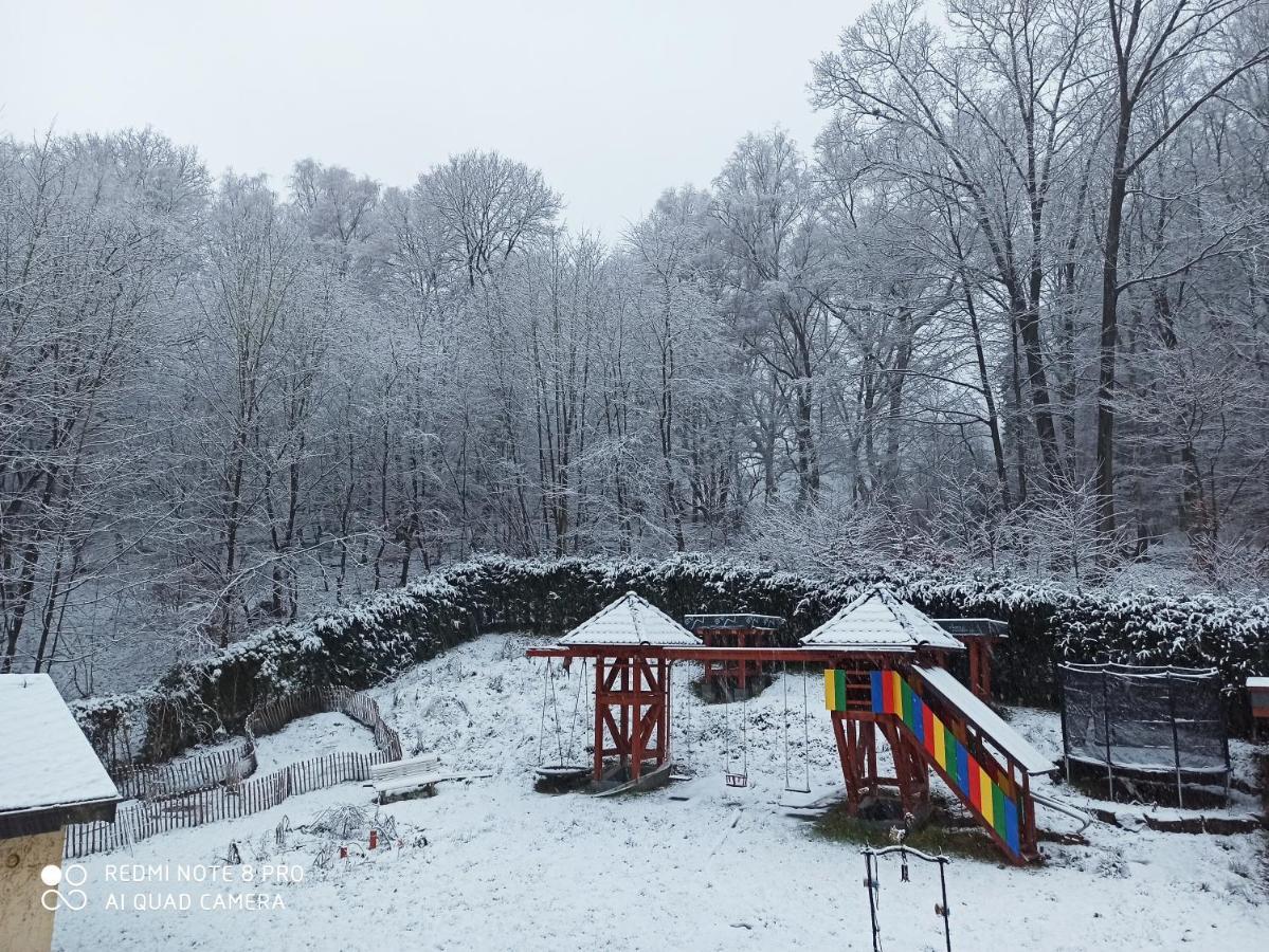 Pension Waldsauna Arnsberg Buitenkant foto
